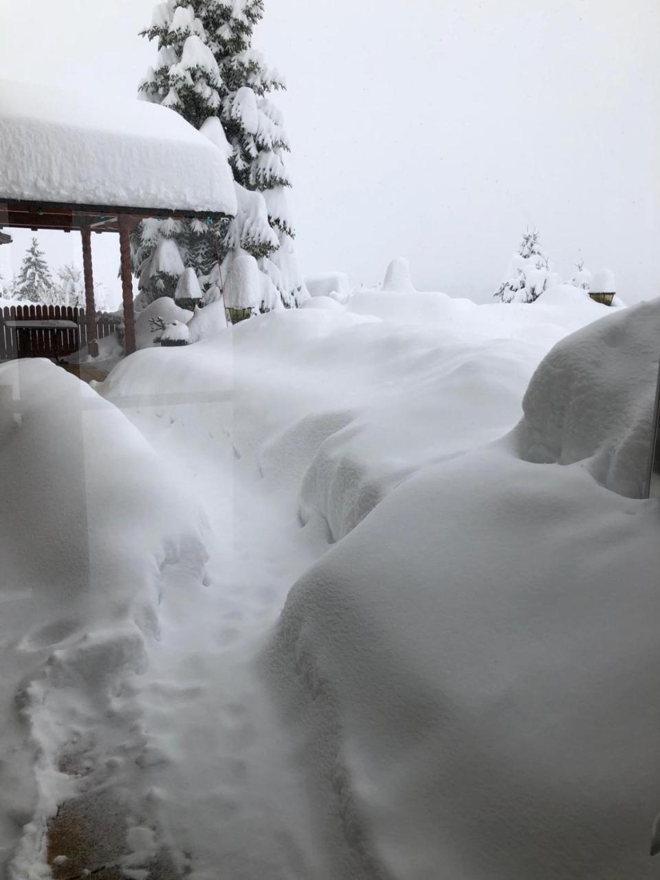 Allgau Landhotel Oberreute Dış mekan fotoğraf