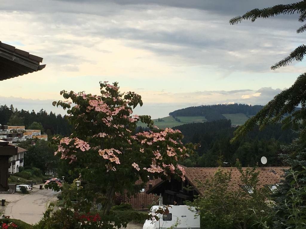 Allgau Landhotel Oberreute Dış mekan fotoğraf